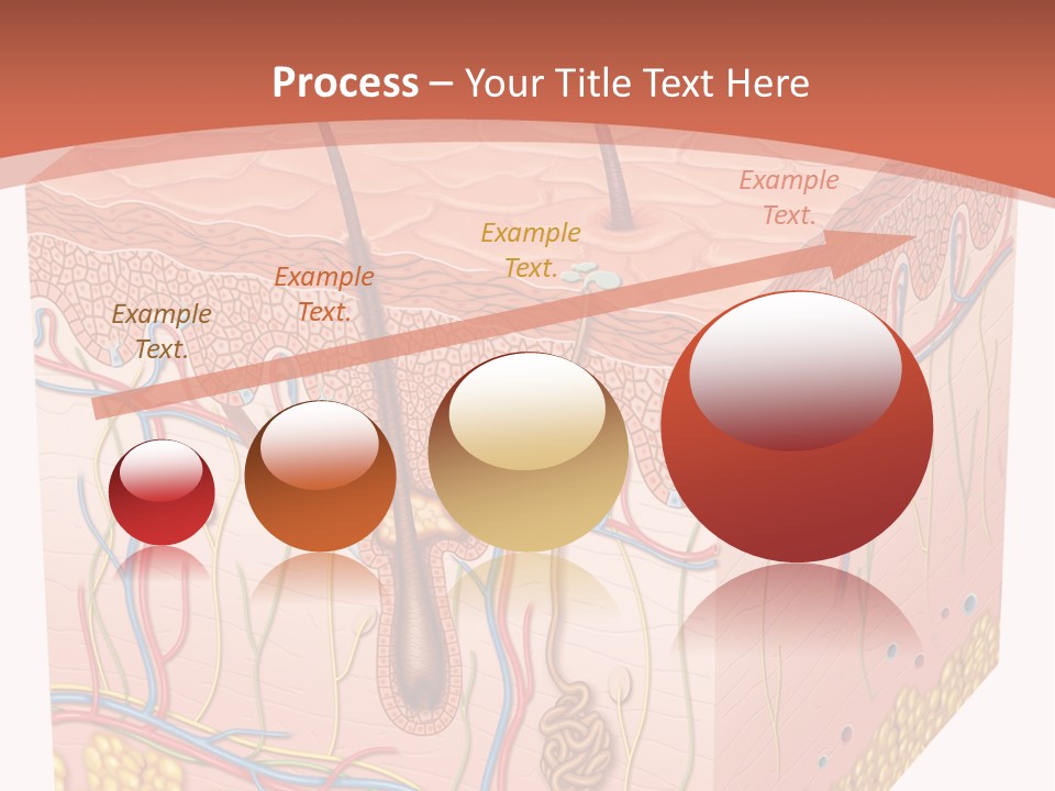 Skin Human Cells PowerPoint Template