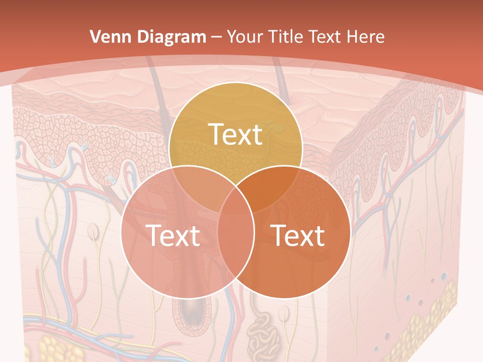 Skin Human Cells PowerPoint Template