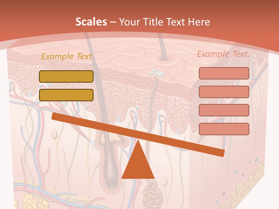 Skin Human Cells PowerPoint Template