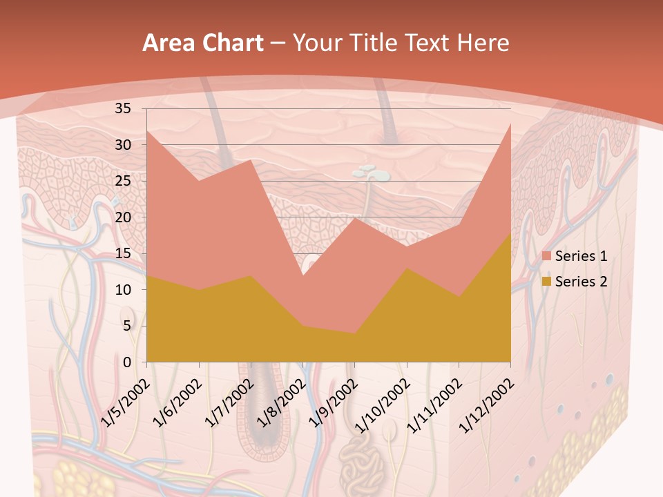 Skin Human Cells PowerPoint Template