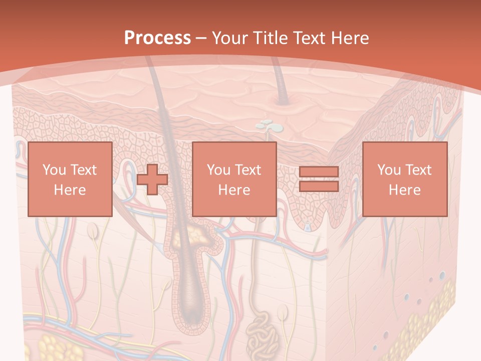 Skin Human Cells PowerPoint Template