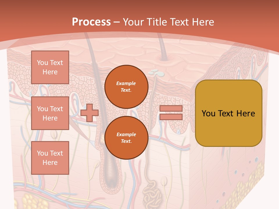 Skin Human Cells PowerPoint Template