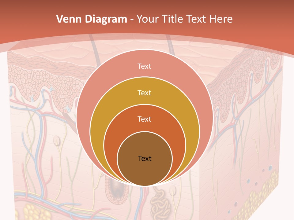 Skin Human Cells PowerPoint Template