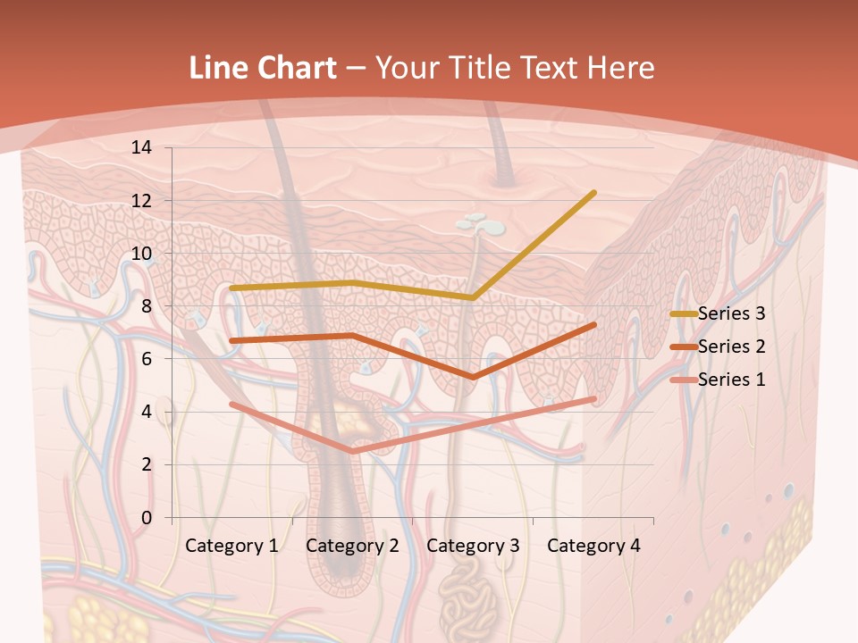 Skin Human Cells PowerPoint Template