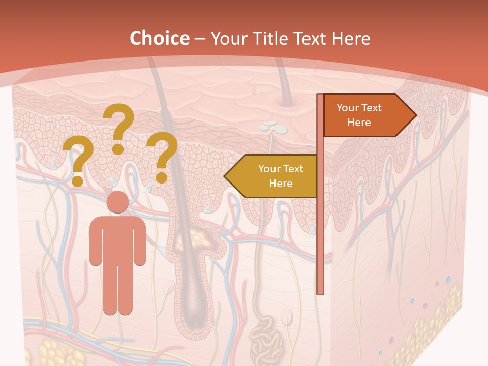 Skin Human Cells PowerPoint Template