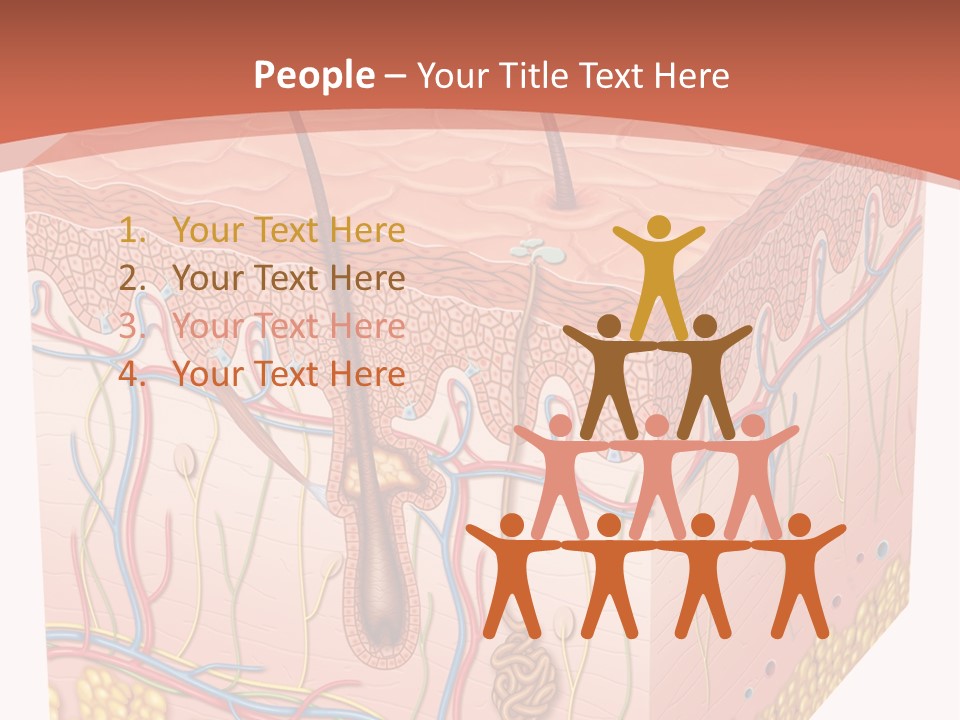 Skin Human Cells PowerPoint Template