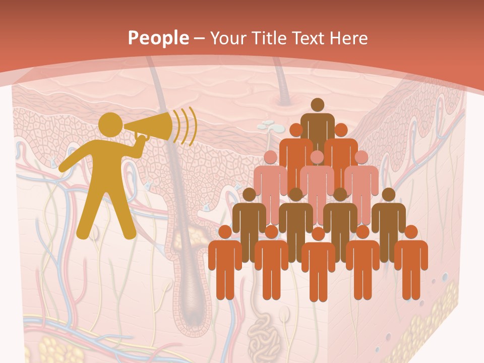 Skin Human Cells PowerPoint Template