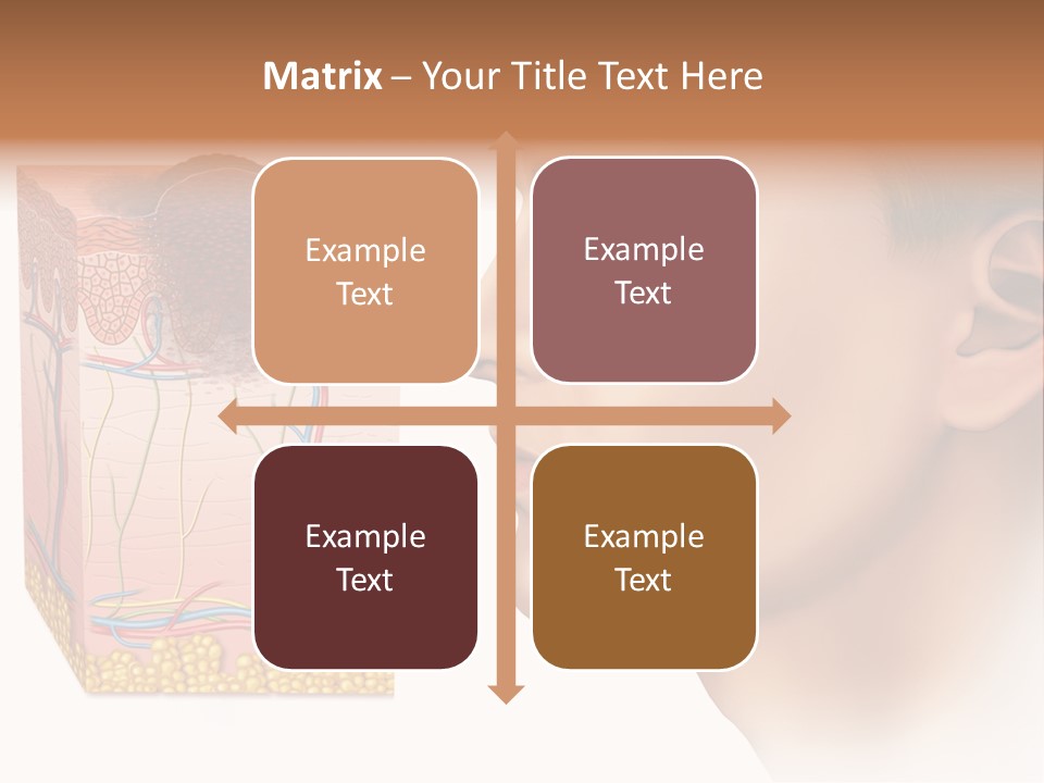 Skin Woman Degeneration PowerPoint Template