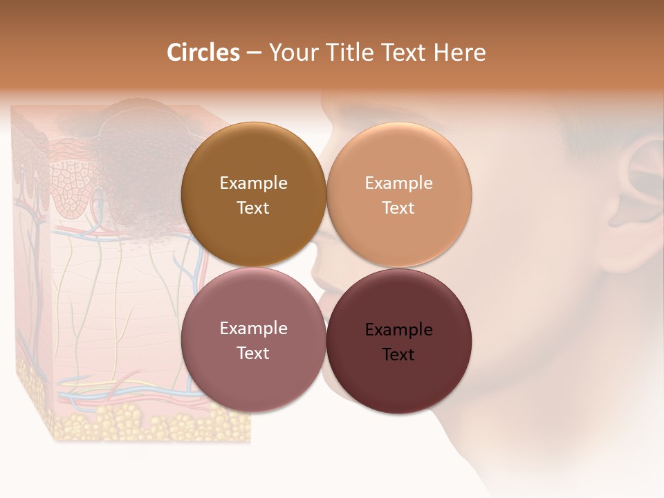 Skin Woman Degeneration PowerPoint Template