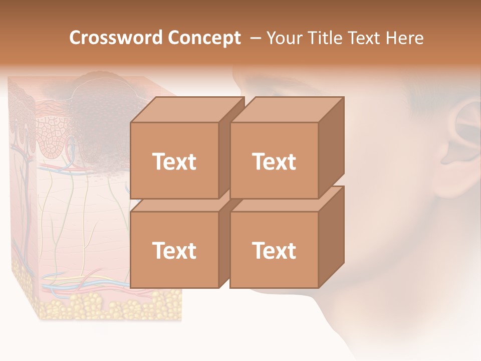Skin Woman Degeneration PowerPoint Template