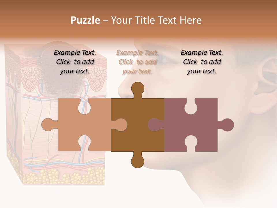 Skin Woman Degeneration PowerPoint Template