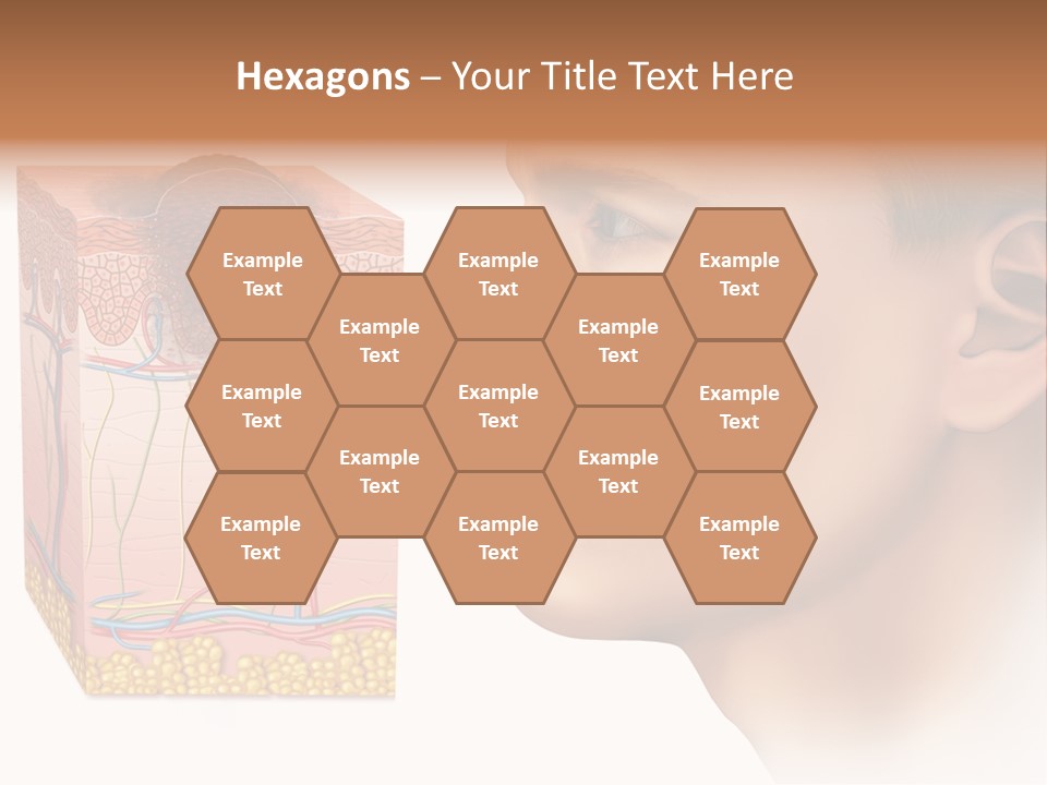 Skin Woman Degeneration PowerPoint Template