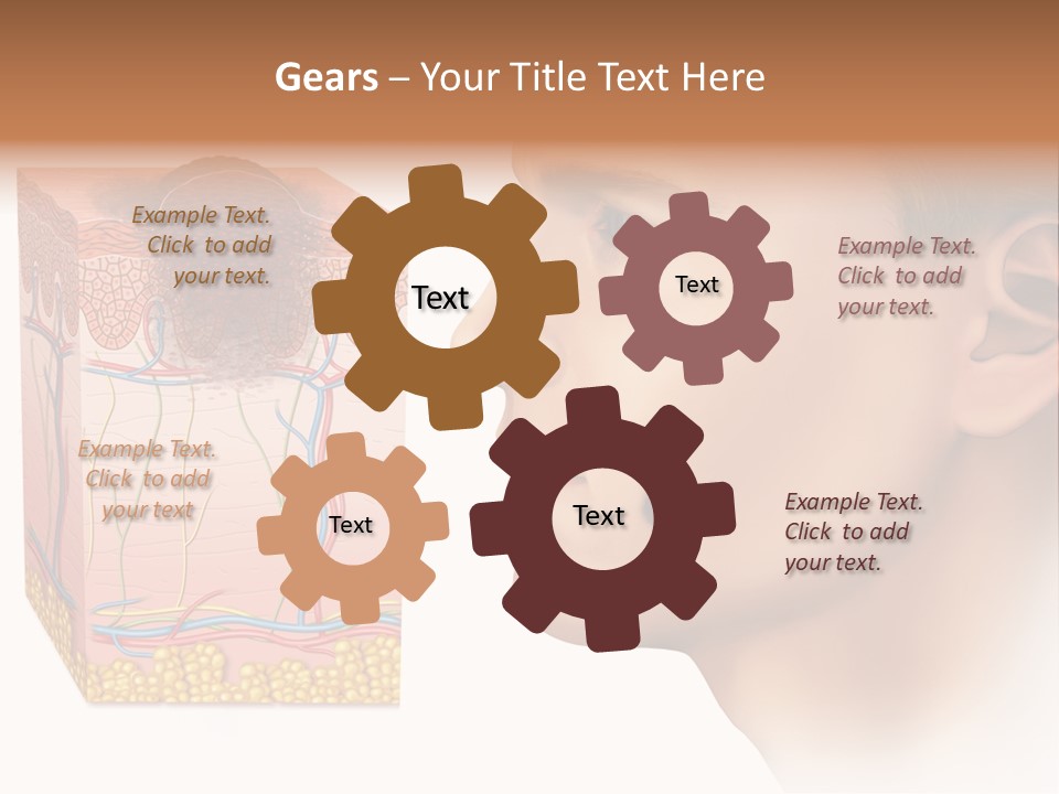 Skin Woman Degeneration PowerPoint Template