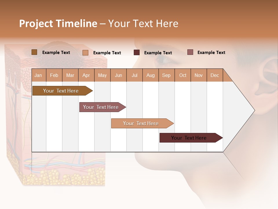 Skin Woman Degeneration PowerPoint Template