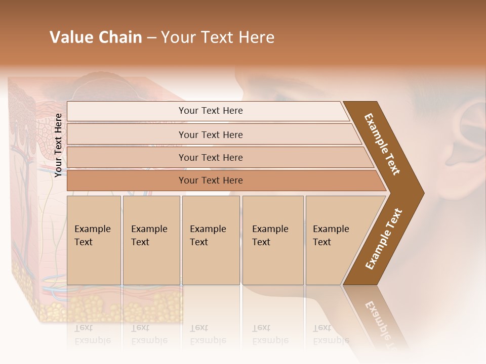 Skin Woman Degeneration PowerPoint Template