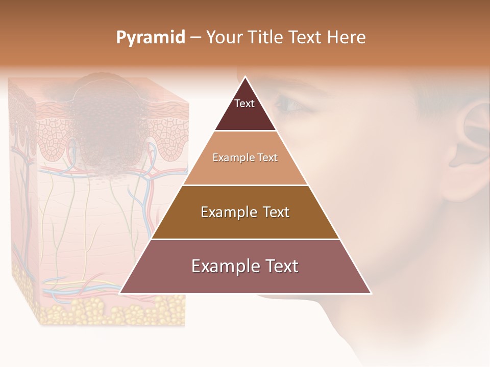 Skin Woman Degeneration PowerPoint Template