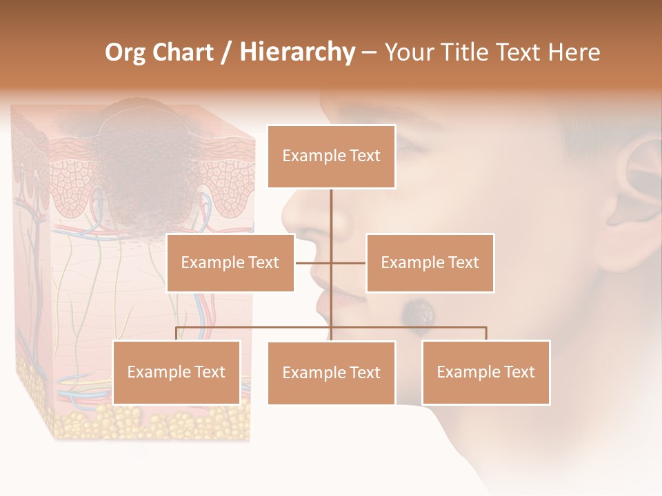Skin Woman Degeneration PowerPoint Template
