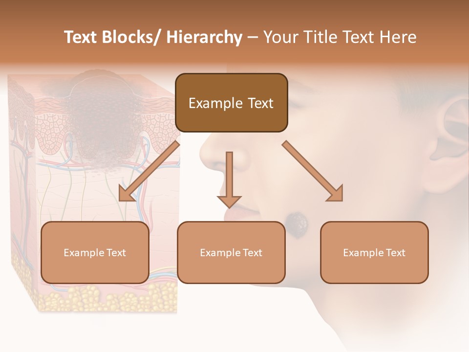 Skin Woman Degeneration PowerPoint Template