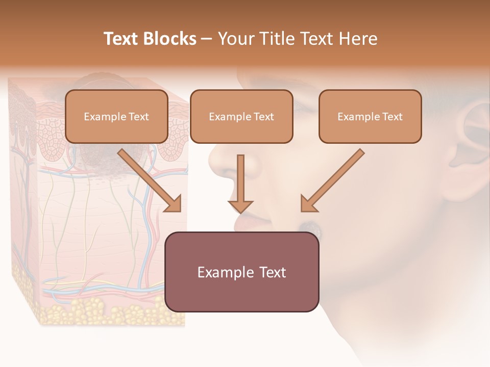 Skin Woman Degeneration PowerPoint Template