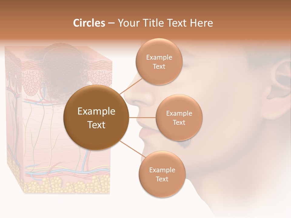 Skin Woman Degeneration PowerPoint Template