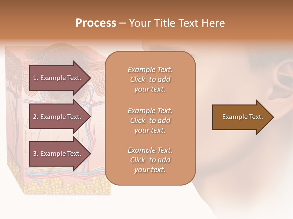 Skin Woman Degeneration PowerPoint Template