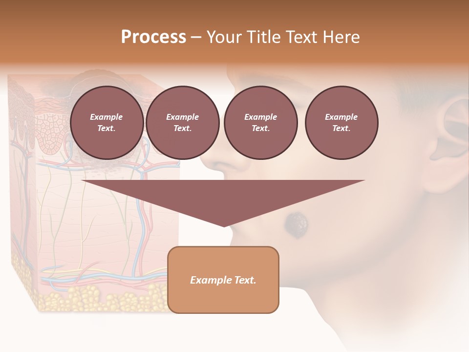 Skin Woman Degeneration PowerPoint Template