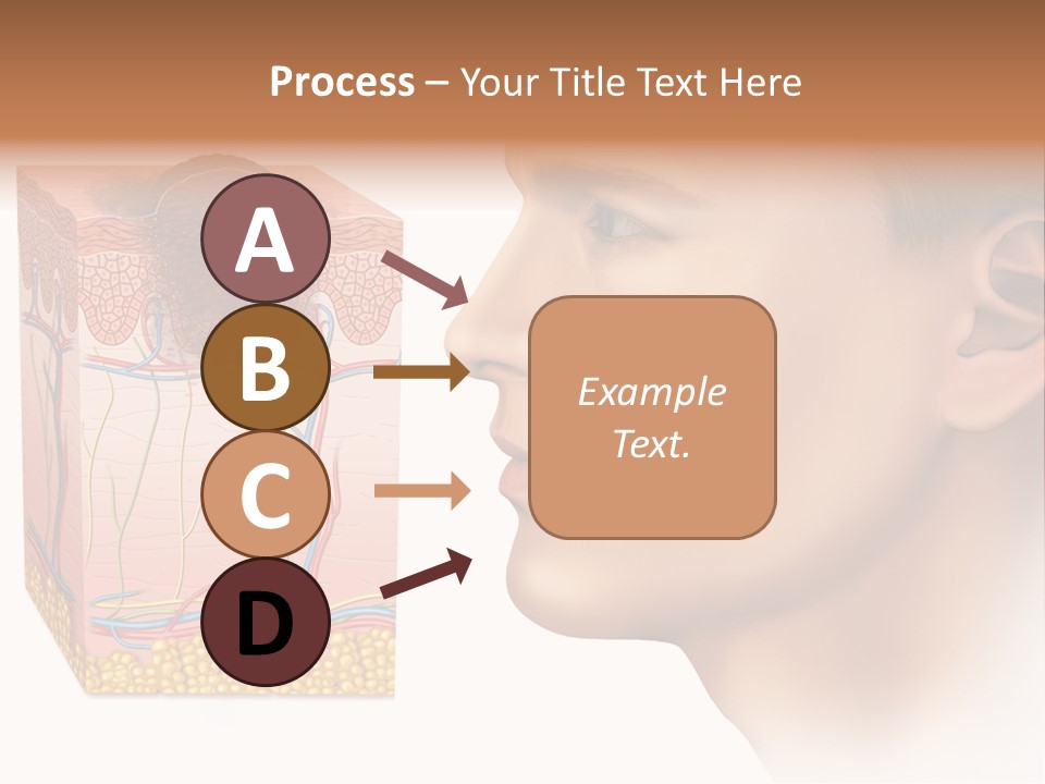 Skin Woman Degeneration PowerPoint Template