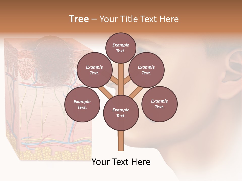 Skin Woman Degeneration PowerPoint Template