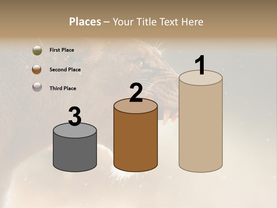 Action Nobody Open PowerPoint Template