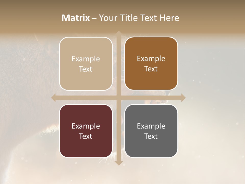 Action Nobody Open PowerPoint Template