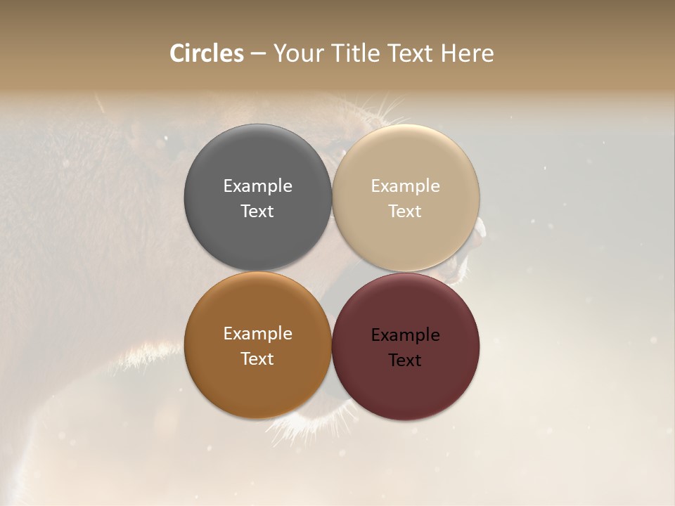 Action Nobody Open PowerPoint Template