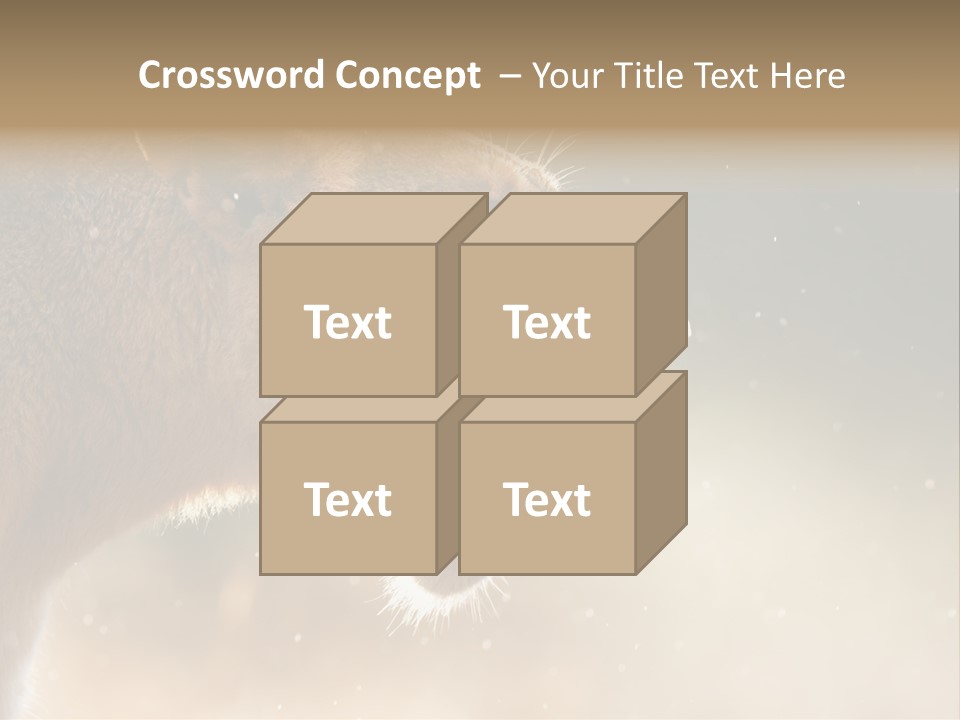 Action Nobody Open PowerPoint Template