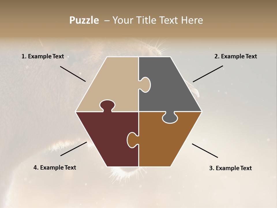 Action Nobody Open PowerPoint Template