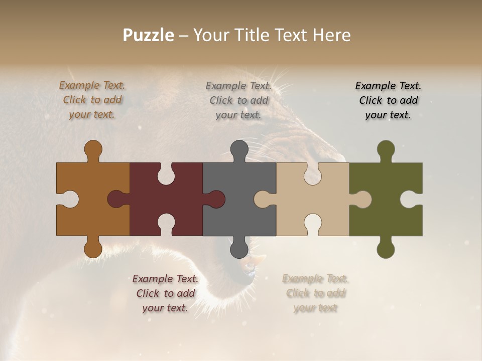 Action Nobody Open PowerPoint Template