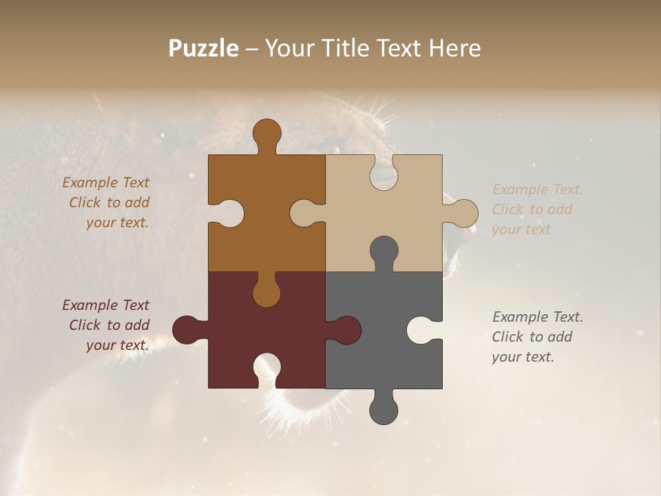 Action Nobody Open PowerPoint Template