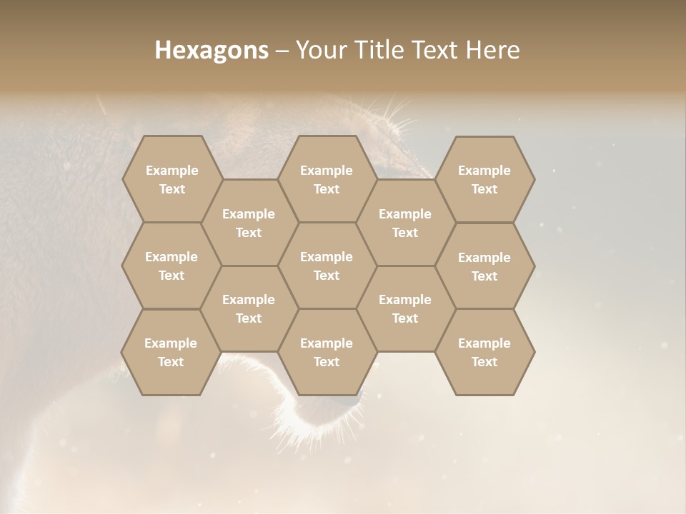 Action Nobody Open PowerPoint Template