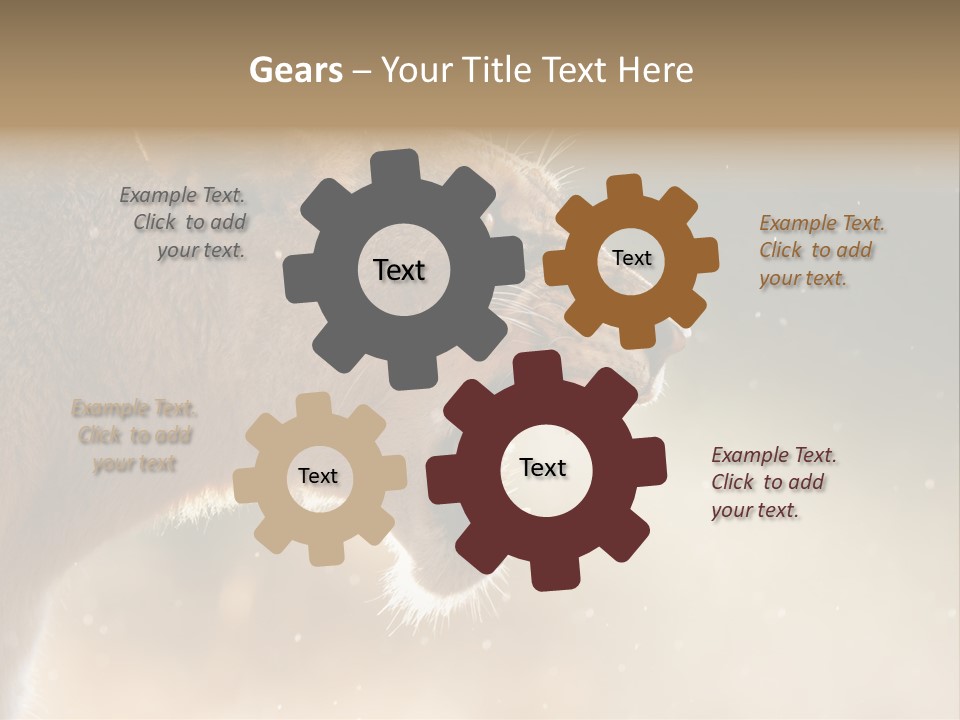 Action Nobody Open PowerPoint Template