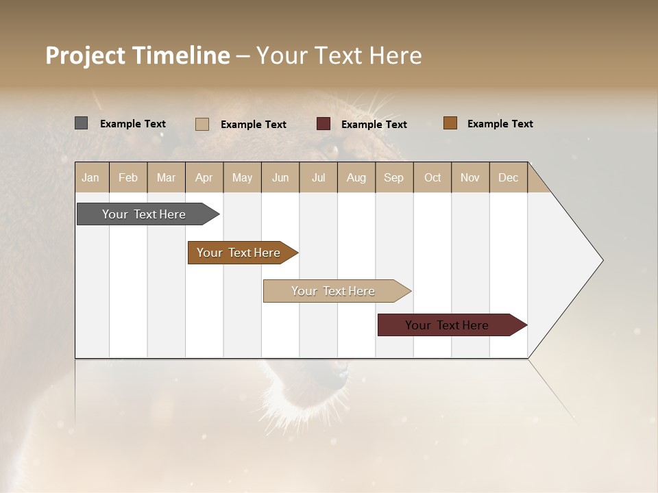 Action Nobody Open PowerPoint Template