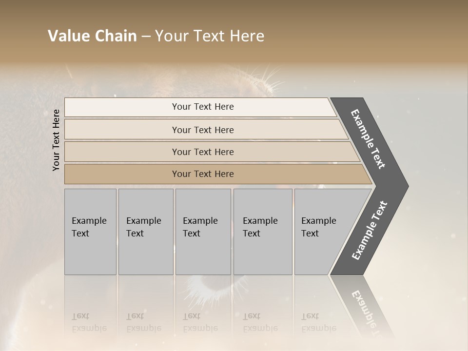 Action Nobody Open PowerPoint Template