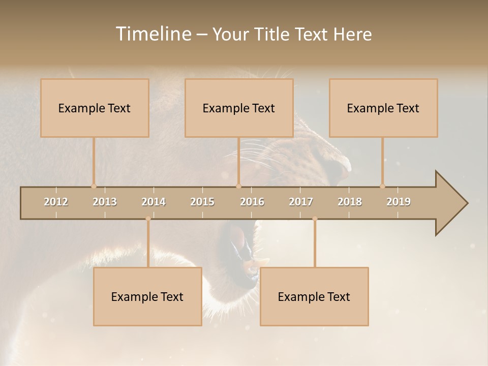 Action Nobody Open PowerPoint Template