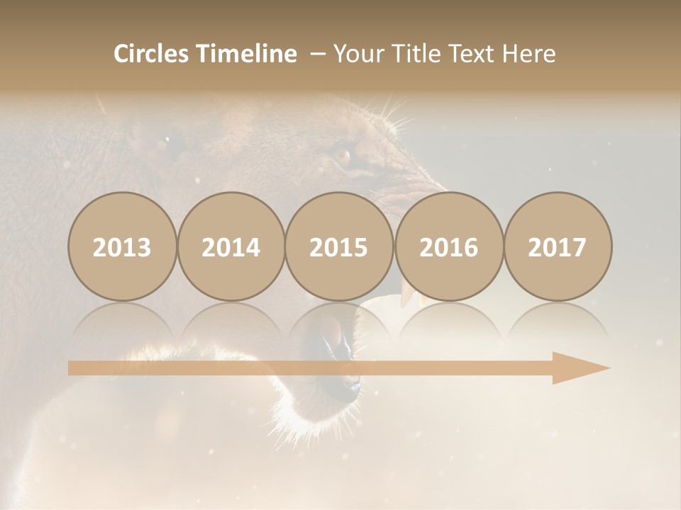 Action Nobody Open PowerPoint Template