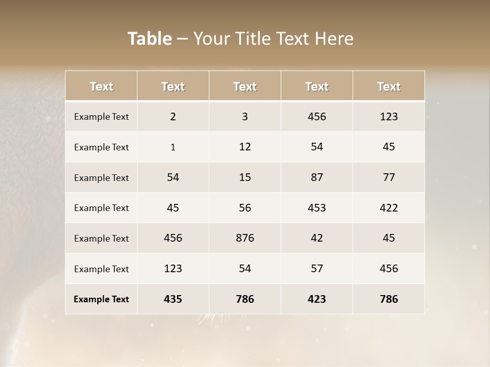 Action Nobody Open PowerPoint Template