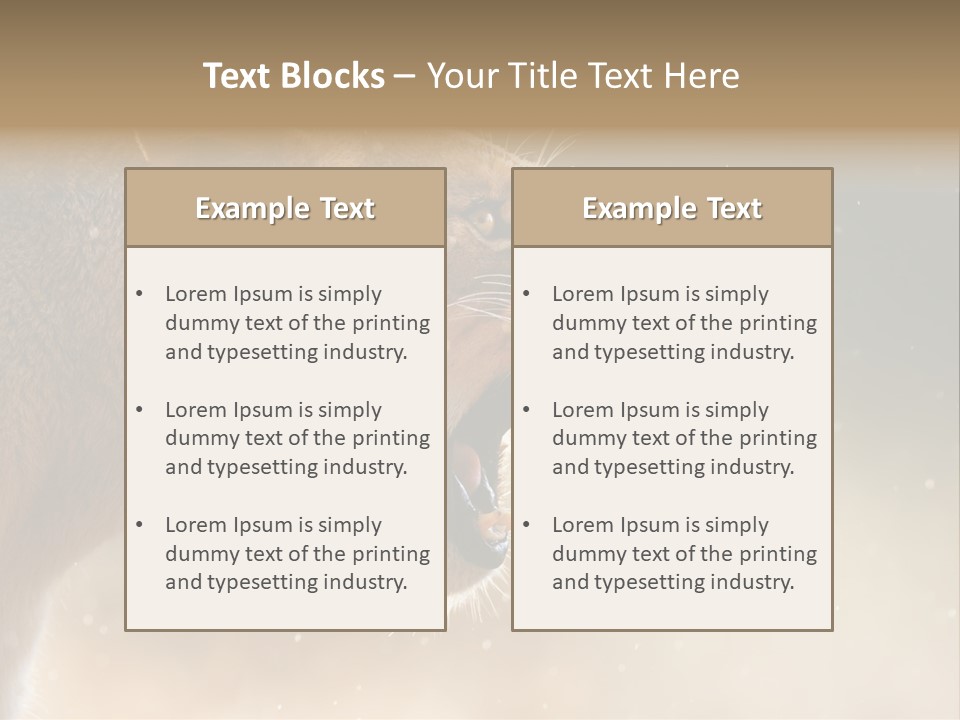 Action Nobody Open PowerPoint Template