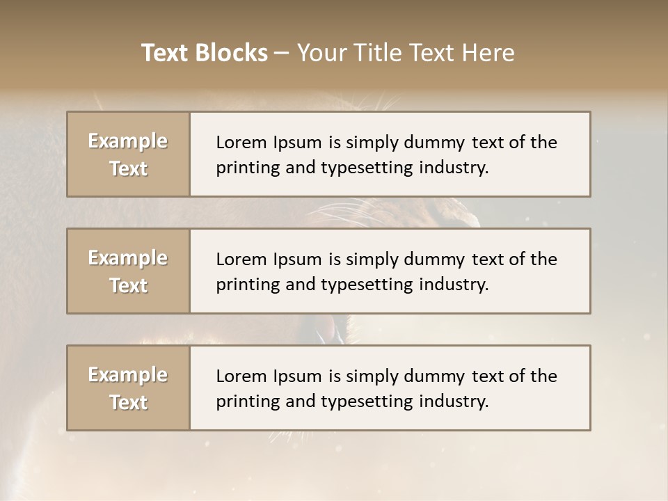 Action Nobody Open PowerPoint Template