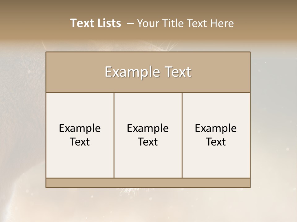 Action Nobody Open PowerPoint Template