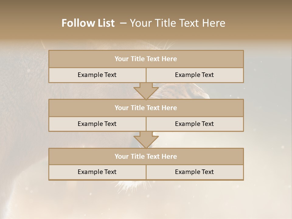 Action Nobody Open PowerPoint Template