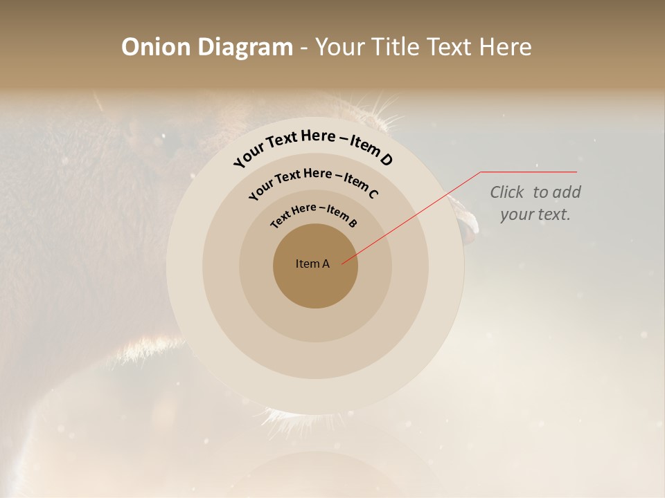 Action Nobody Open PowerPoint Template