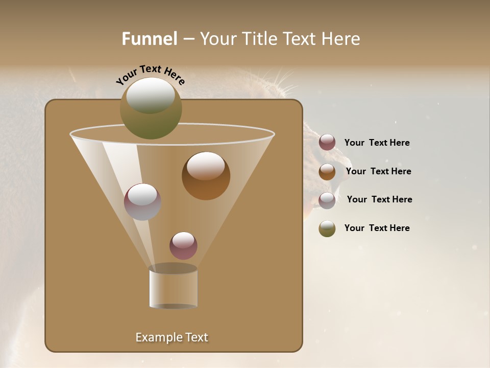 Action Nobody Open PowerPoint Template