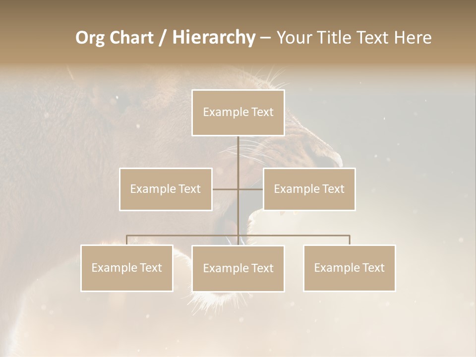 Action Nobody Open PowerPoint Template