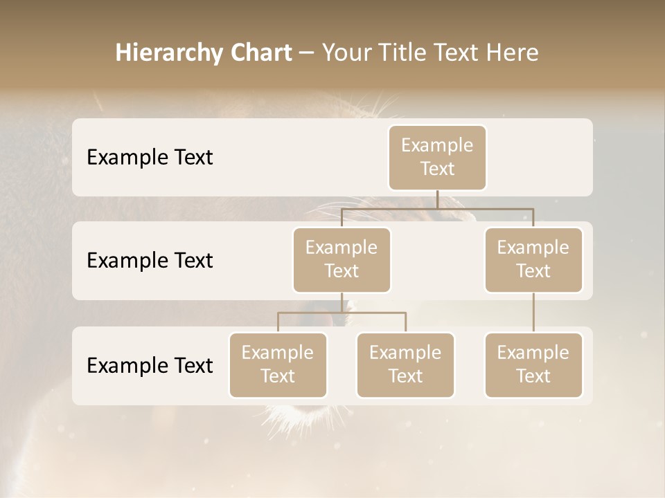 Action Nobody Open PowerPoint Template